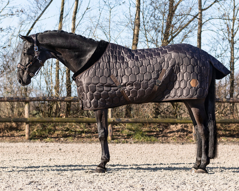 Classy 100g Stable Rug