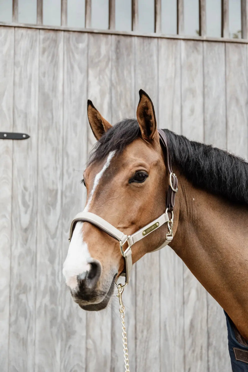 Kentucky Horsewear Anatomic Nylon Head Collar Beige