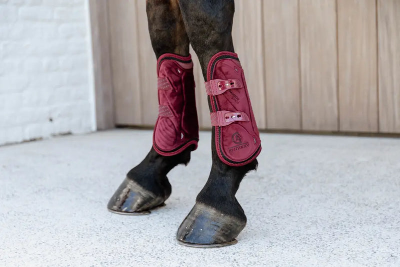 Kentucky Tendon Boots Bamboo Elastic Velvet Bordeaux