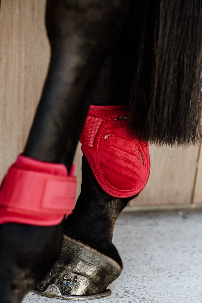 Kentucky Horsewear Young Horse Fetlock Boots Velvet – Red