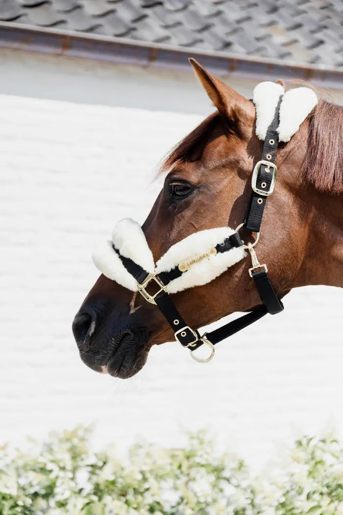 Kentucky Nylon Sheepskin Halter Soft