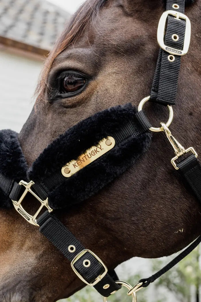 Kentucky Nylon Sheepskin Halter Soft