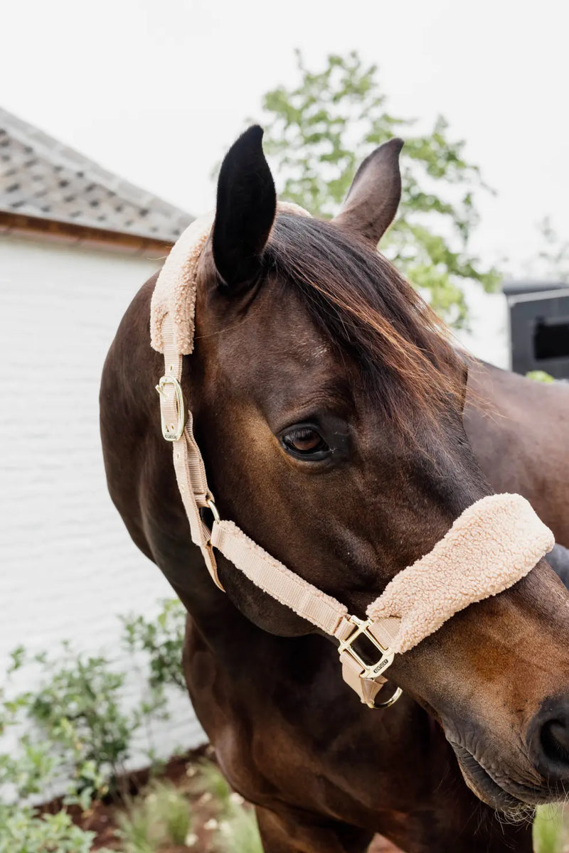 Kentucky Horsewear Teddy Fleece Head Collar Beige