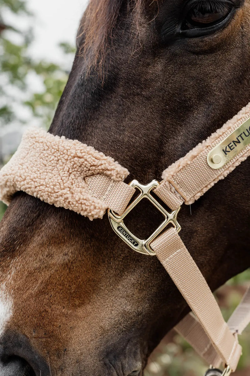 Kentucky Horsewear Teddy Fleece Head Collar Beige