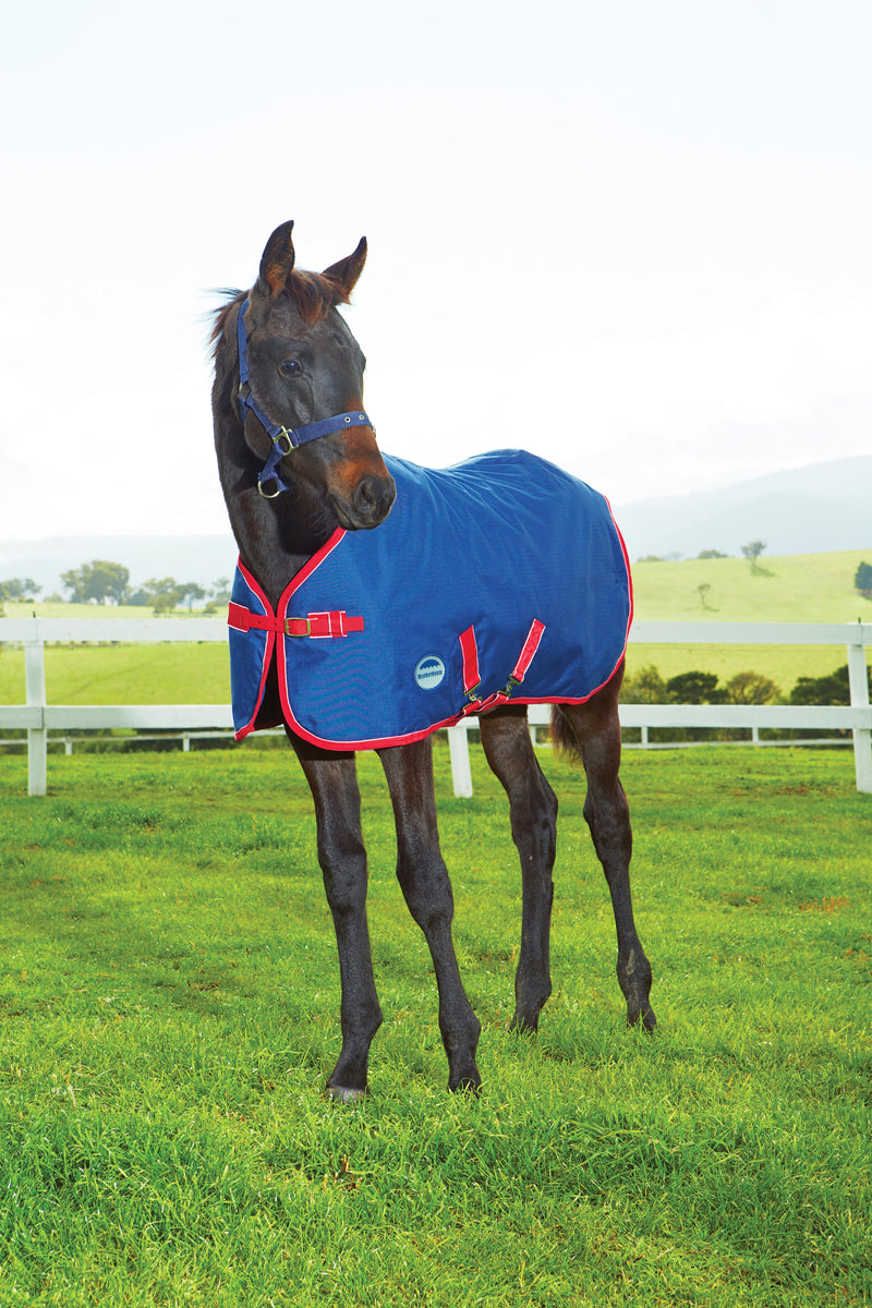 Weatherbeeta 1200D Foal Standard Neck Medium II Turnout Rug (220g)