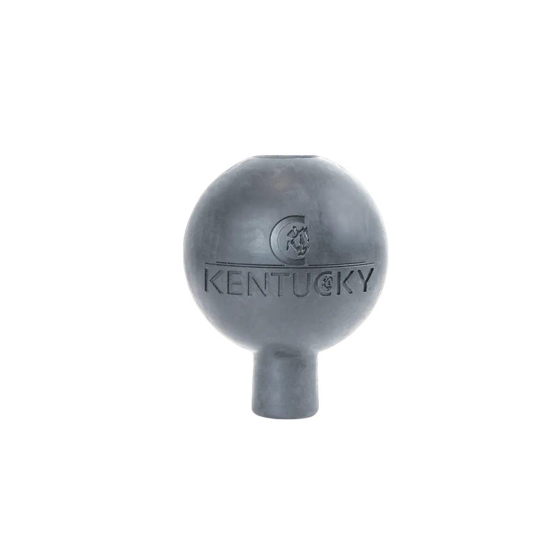 Kentucky Rubber Ball Wall and Lead Protector