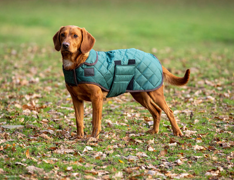 Digby & Fox Heritage Dog Coat