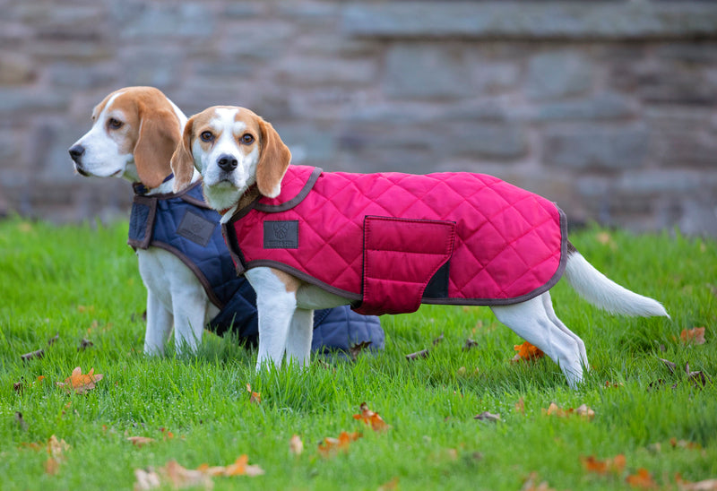 Digby & Fox Heritage Dog Coat