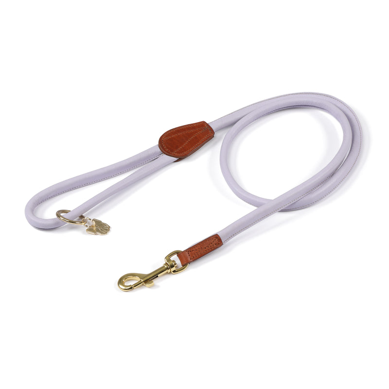 Digby & Fox Rolled Leather Dog Lead