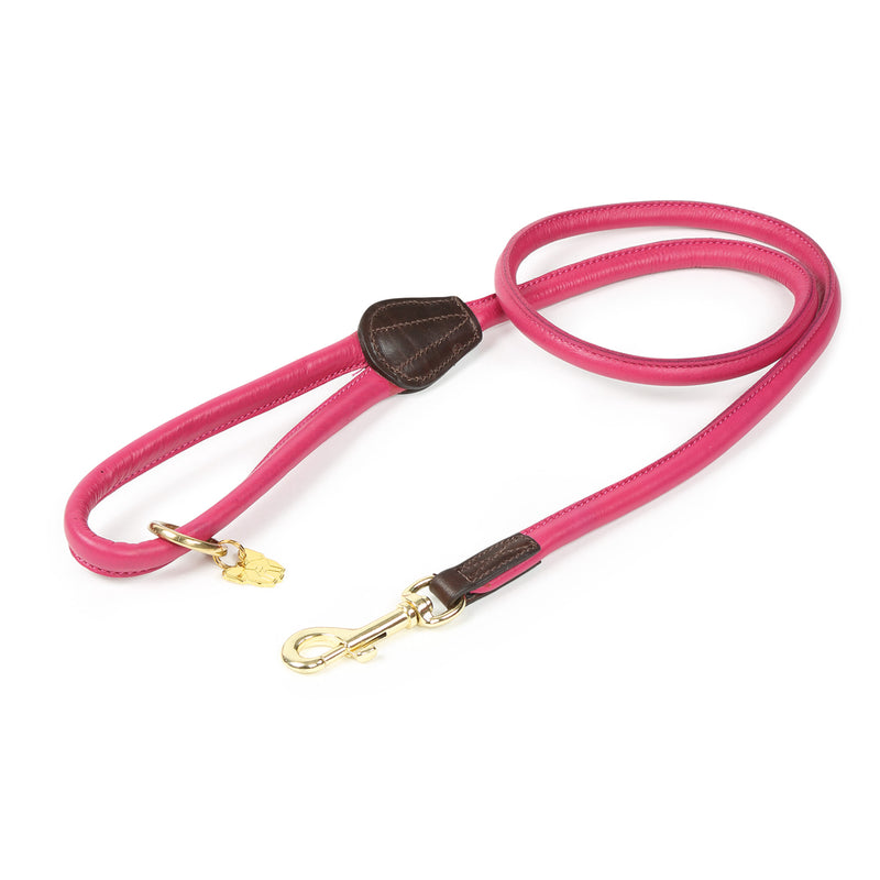 Digby & Fox Rolled Leather Dog Lead