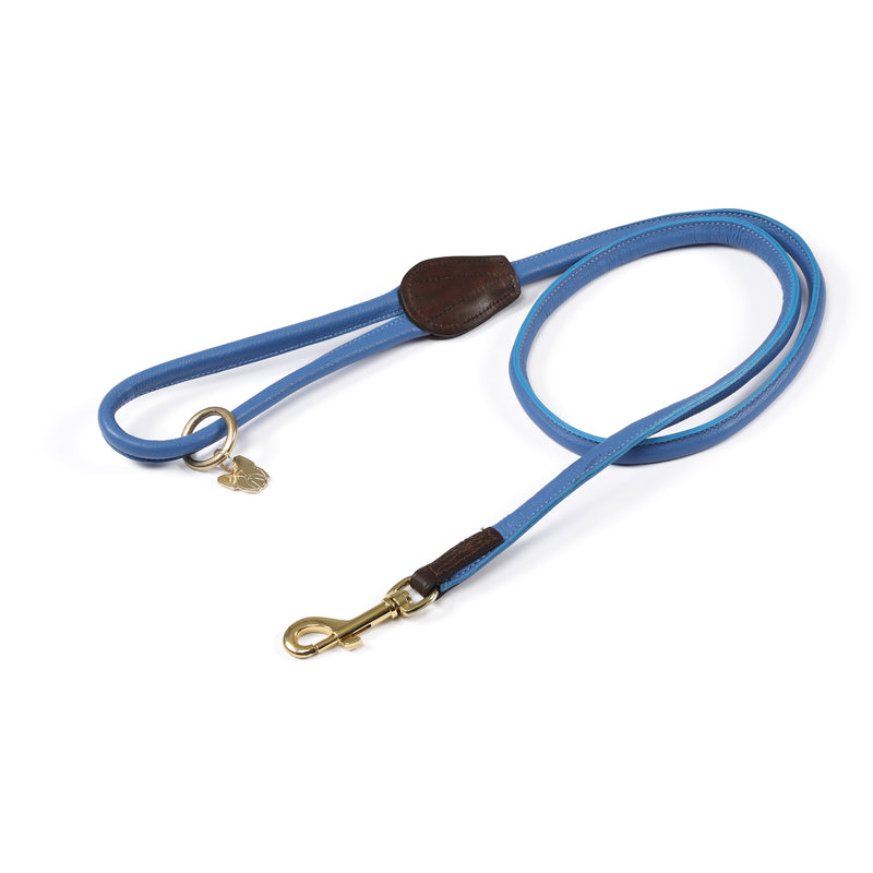 Digby & Fox Rolled Leather Dog Lead