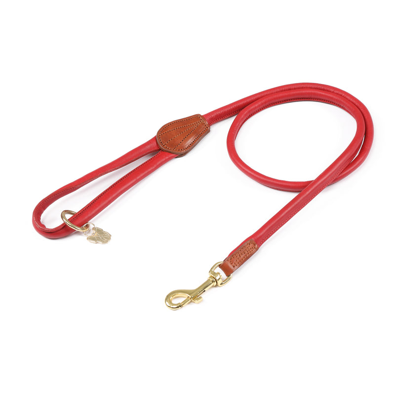 Digby & Fox Rolled Leather Dog Lead