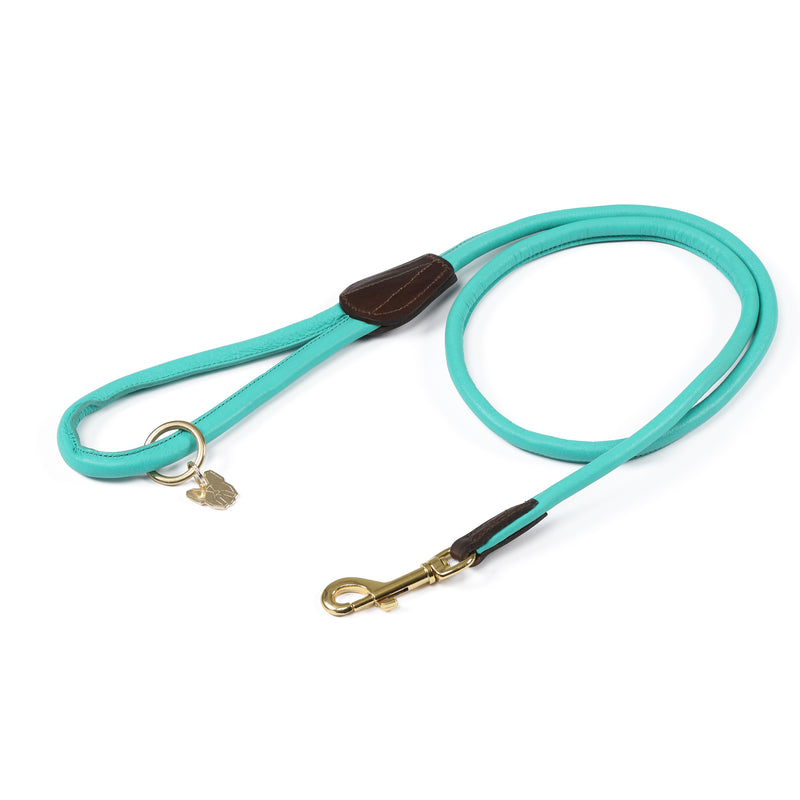 Digby & Fox Rolled Leather Dog Lead