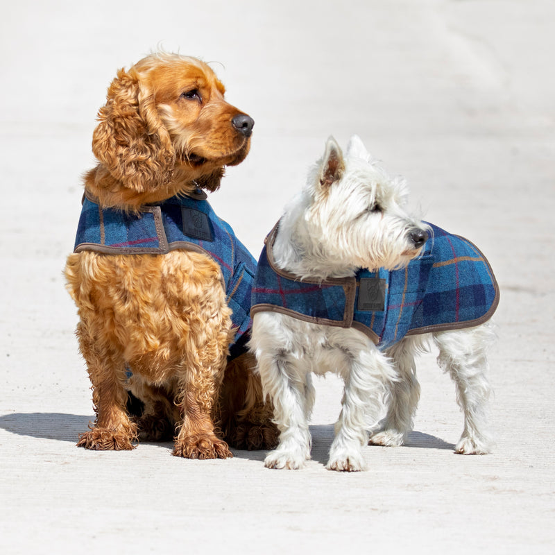 Digby & Fox Tweed Dog Coat