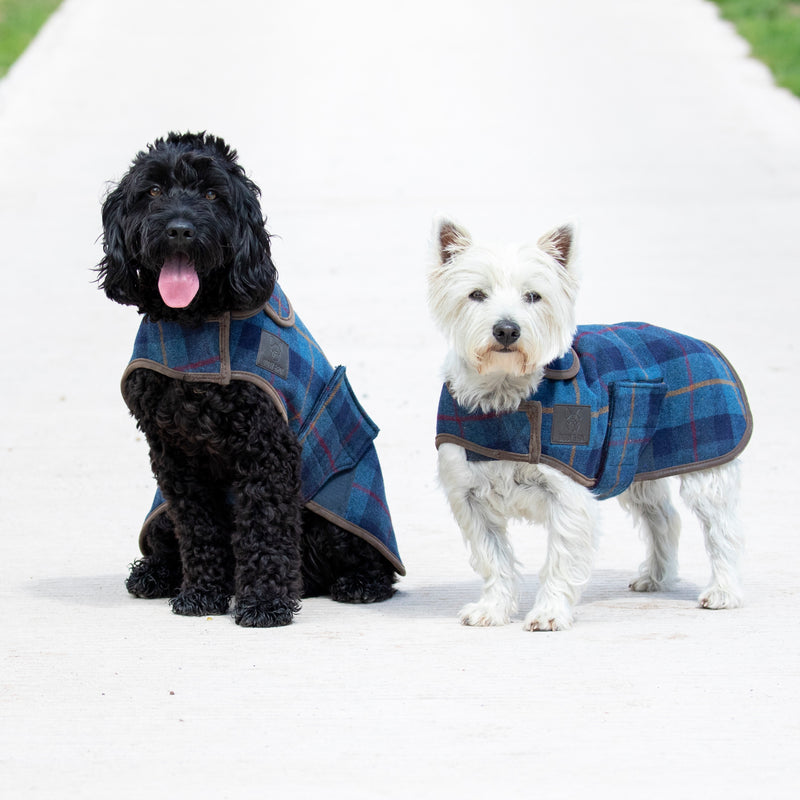 Digby & Fox Tweed Dog Coat