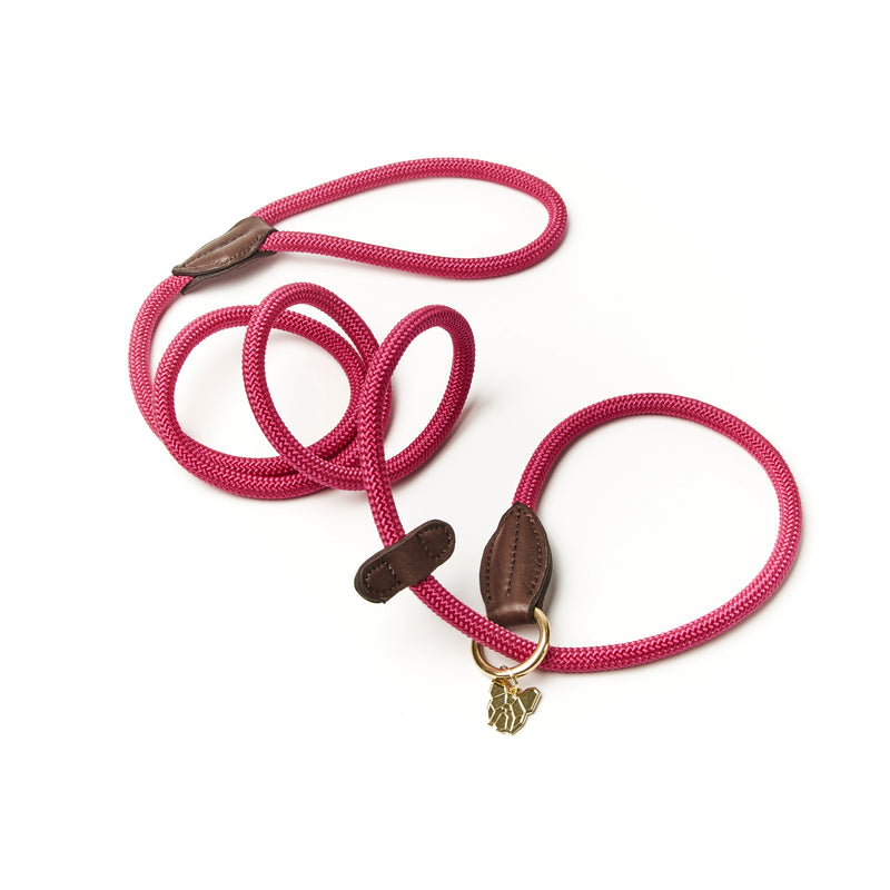 Digby & Fox Fine Rope Slip Lead