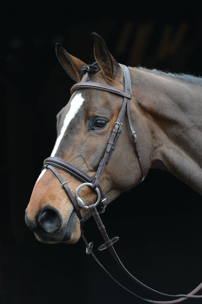 Collegiate Comfort Crown Padded Raised Flash Bridle