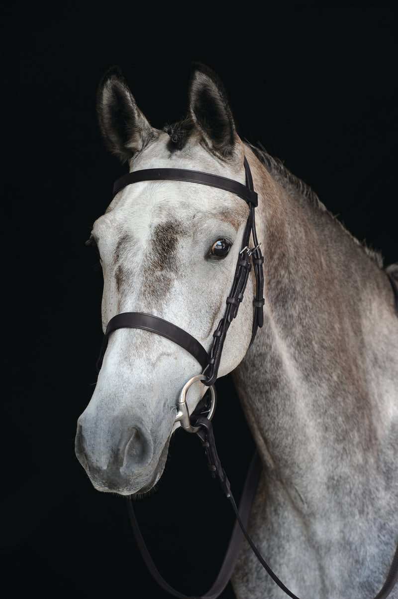 Collegiate Hunt Cavesson Bridle IV