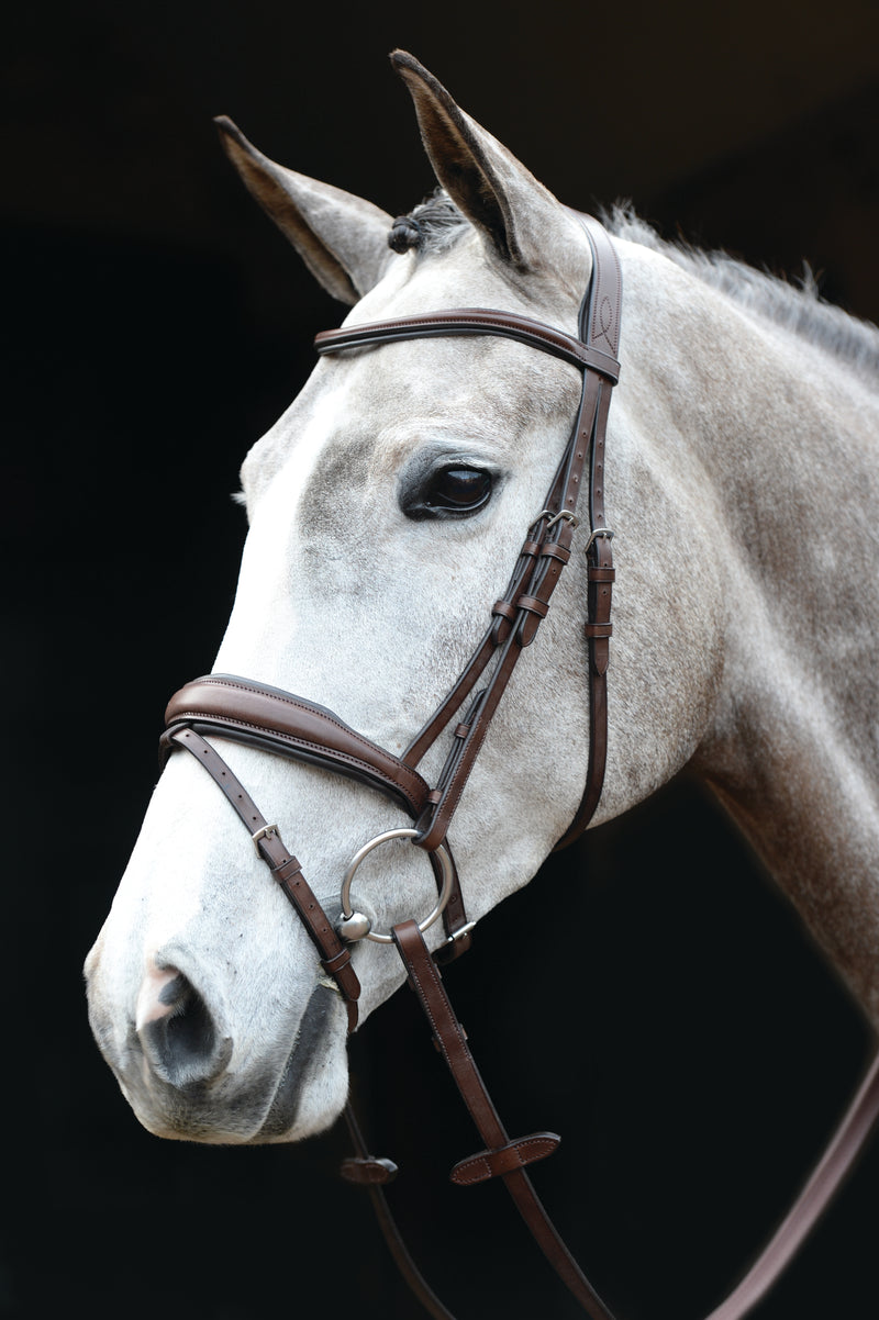 Collegiate Mono Crown Padded Raised Flash Bridle