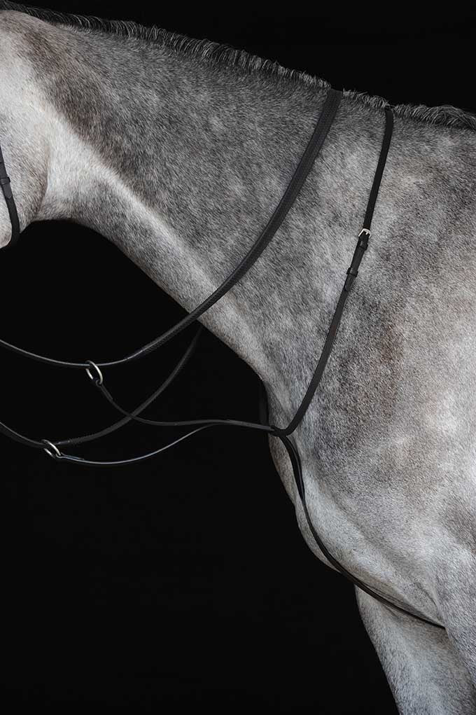 Collegiate Running Martingale IV