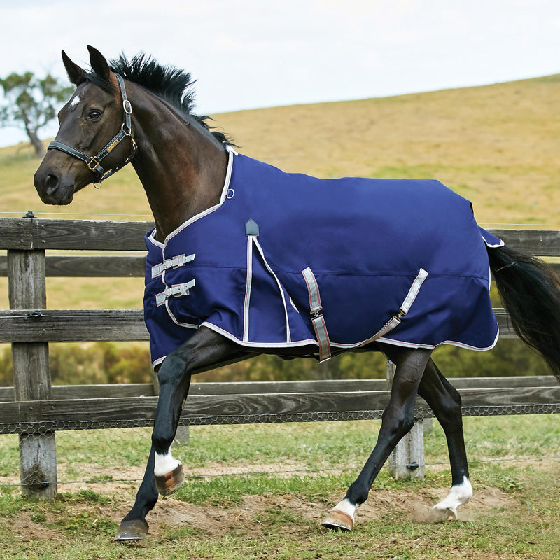 Weatherbeeta Comfitec Essential Standard Neck Medium Turnout Rug (220g)