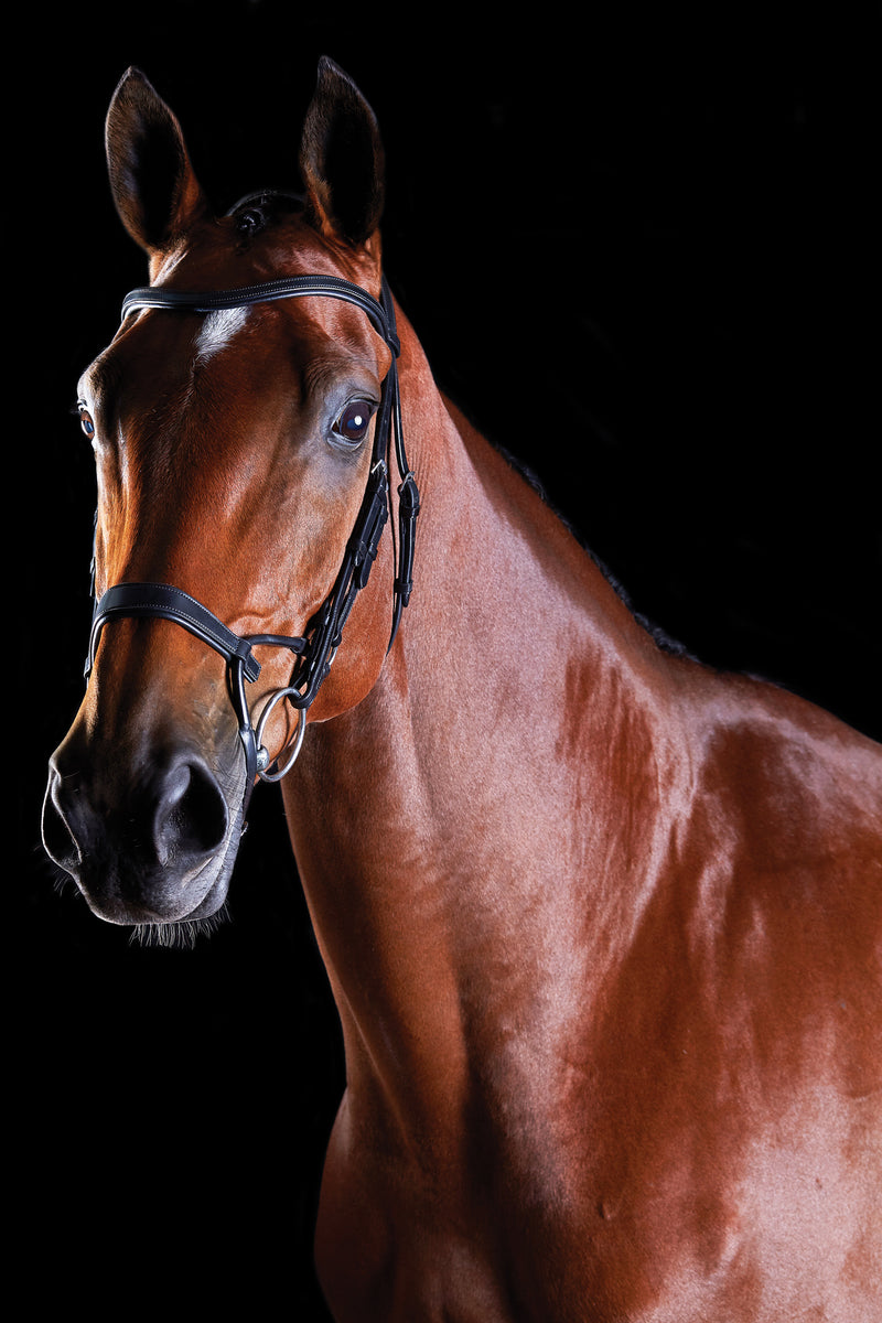 Collegiate Comfitec Training Bridle