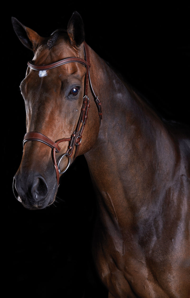 Collegiate Comfitec Training Bridle