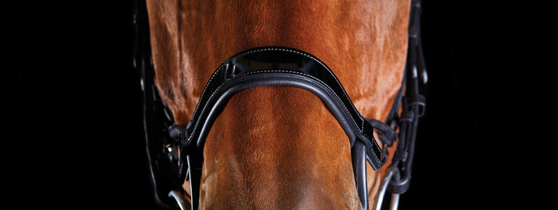 Collegiate Comfitec Patent Bridle