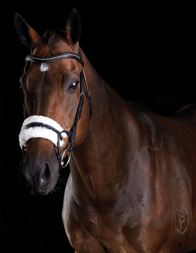 Collegiate Comfitec Sheepskin Bridle