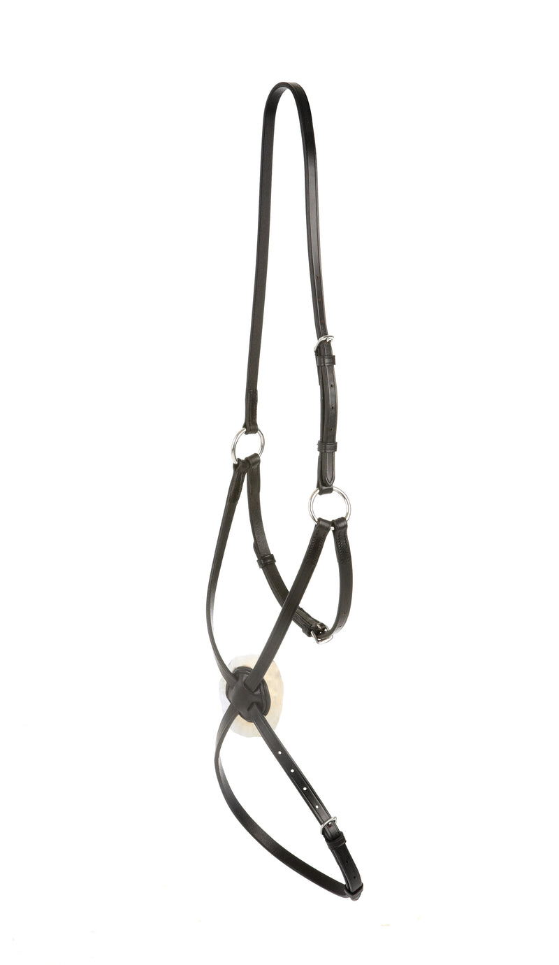 Collegiate Grackle Noseband IV