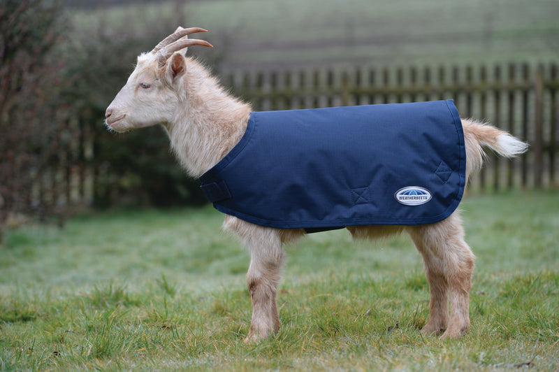 Weatherbeeta Goat Coat