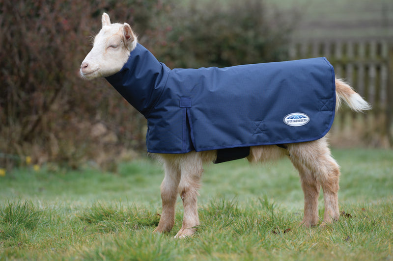 Weatherbeeta Goat Coat With Neck