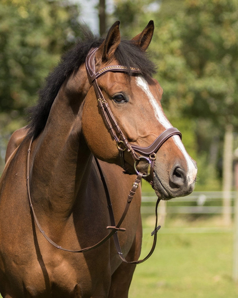 Devi Anatomical Bridle - Nags Essentials