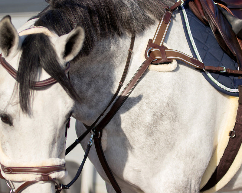 Anatomic Ontario Bridle - Nags Essentials