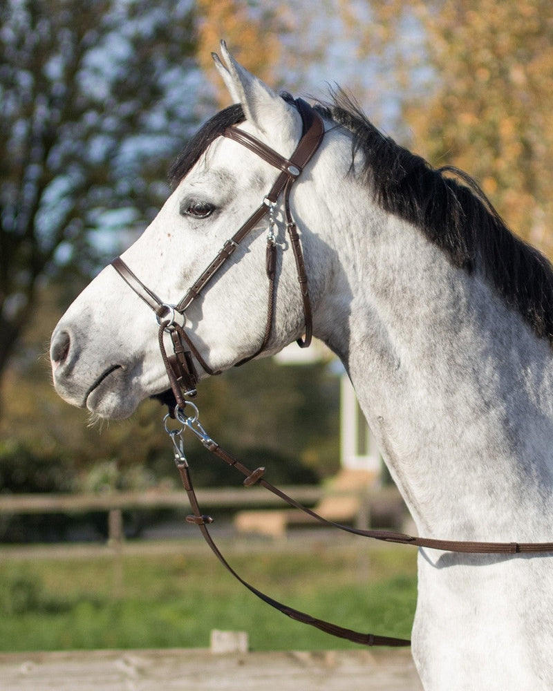 Ceto Bitless Bridle - Nags Essentials