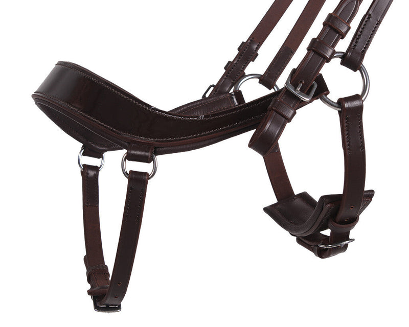 Eris Anatomical Bridle - Nags Essentials