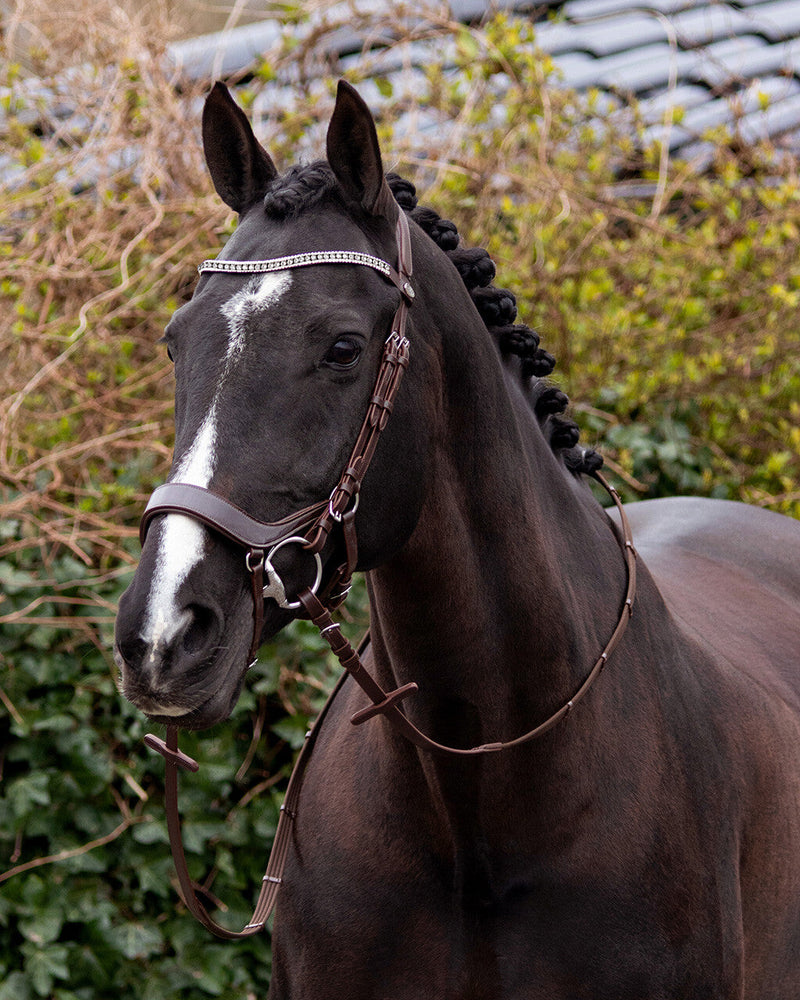 Eris Anatomical Bridle - Nags Essentials