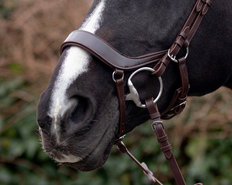 Eris Anatomical Bridle - Nags Essentials