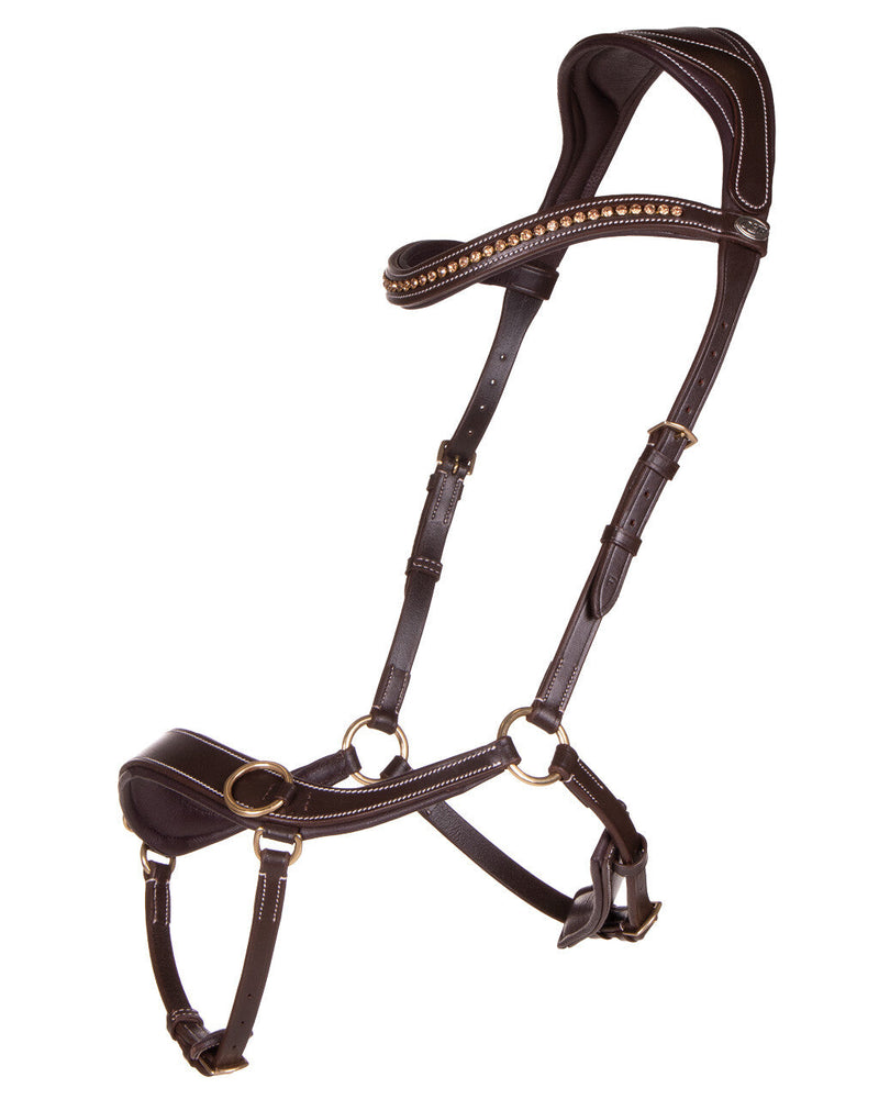 Anatomical Bitless Bridle