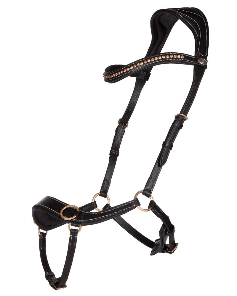 Anatomical Bitless Bridle