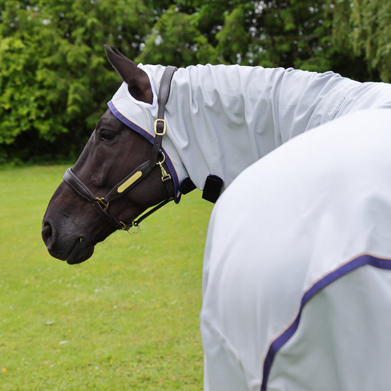 Highlander Plus Sun Shade Fly Combo Rug