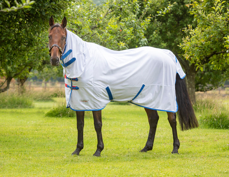 Tempest Original Fly Combo Rug