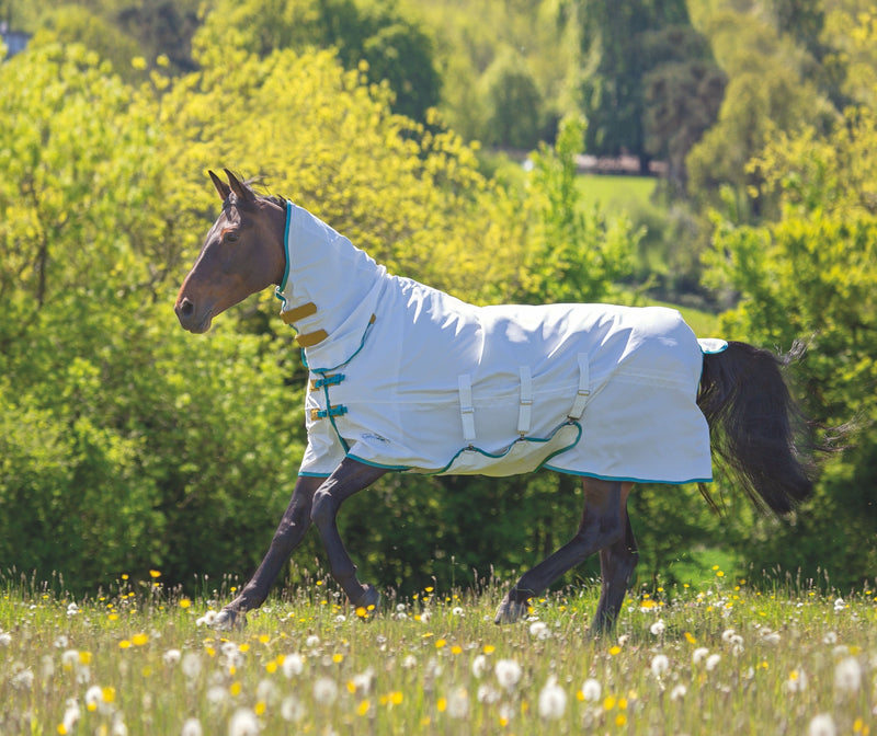 Tempest Plus Sweet-itch Combo Rug