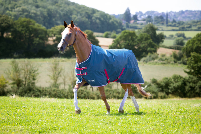 Tempest Original Lite Turnout Rug