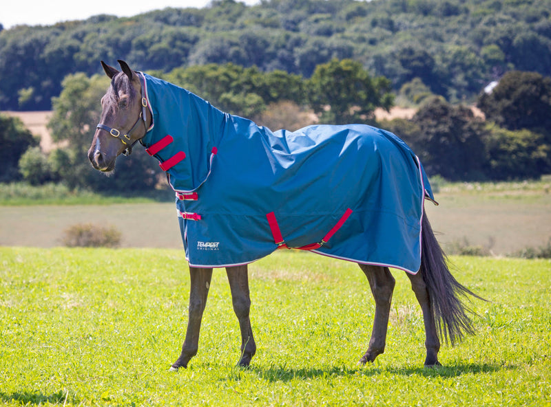 Tempest Original Lite Combo Turnout Rug