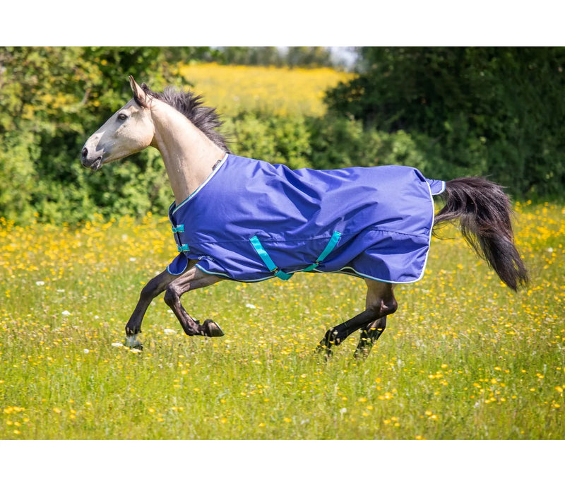 Tempest Original 100 Turnout Rug