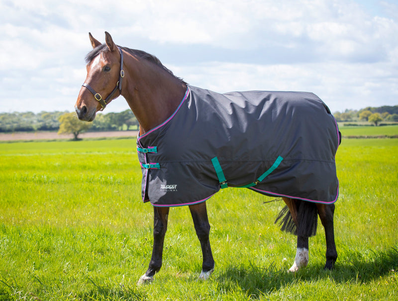 Tempest Original 300 Turnout Rug