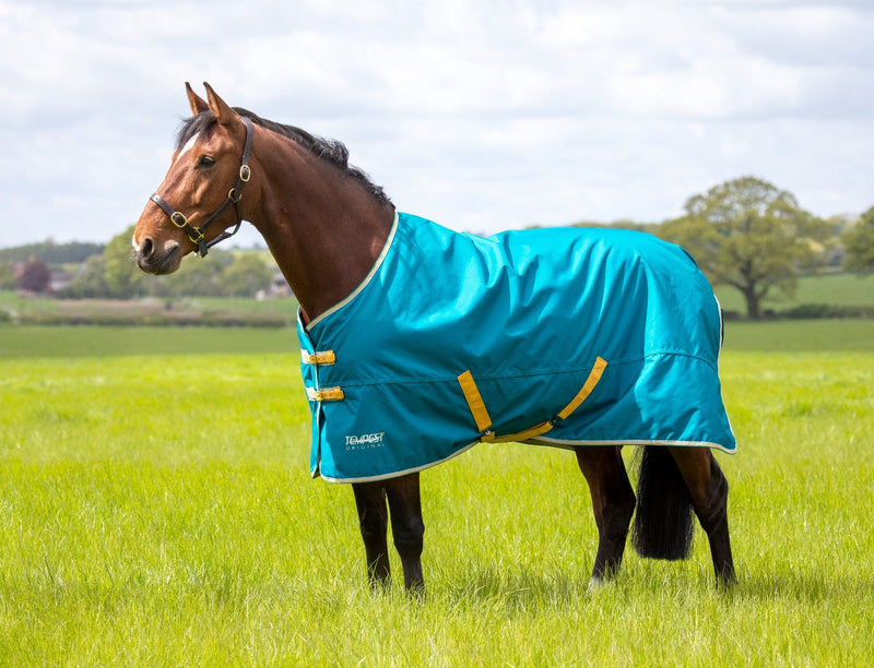 Tempest Original 50 Turnout Rug