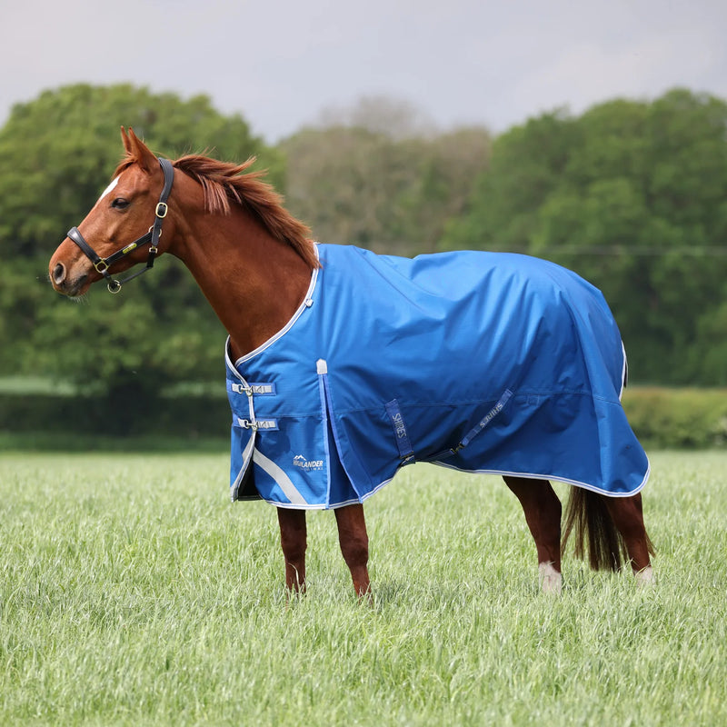 Highlander Original 200 Turnout Rug