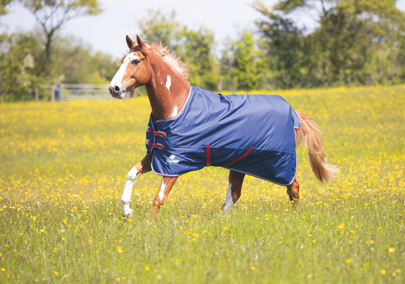 Tempest Original Air Motion Turnout Rug